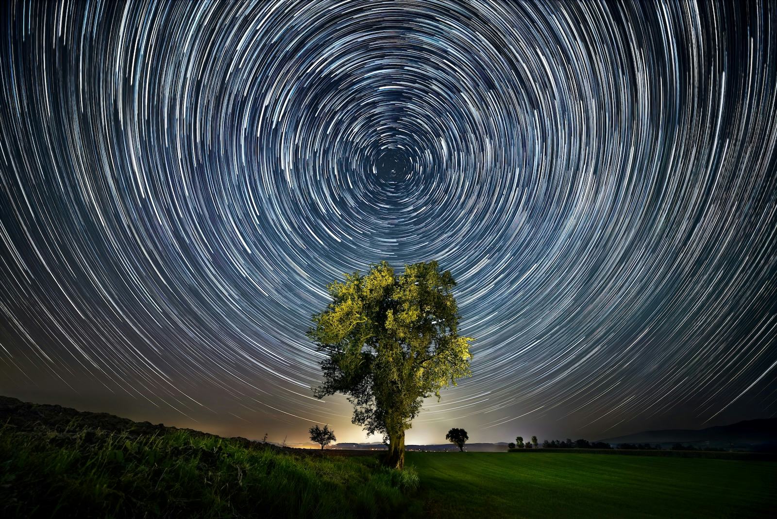 night sky with a tree and stars in the background
